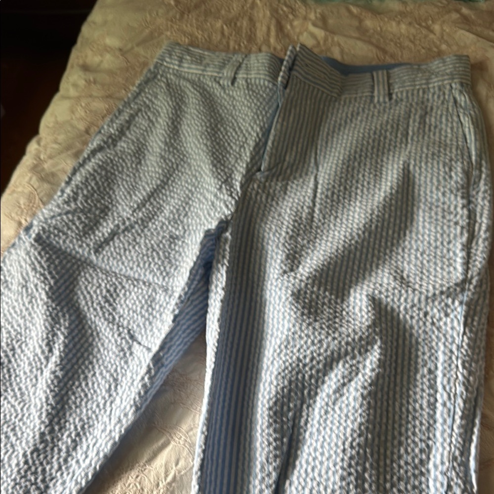 Vineyard Vines Blue and White Chino Pants